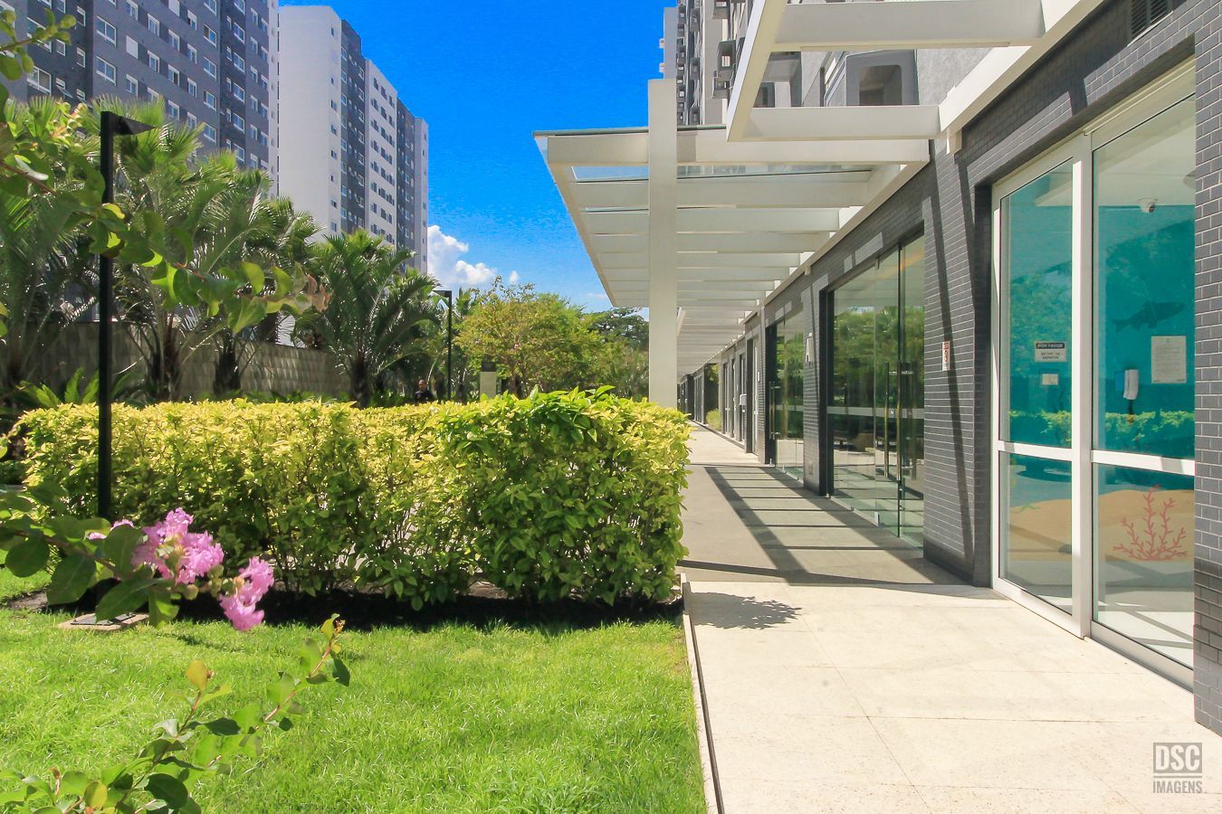 Apartamento à venda com 3 quartos, 81m² - Foto 27