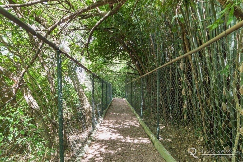 Apartamento à venda com 2 quartos, 45m² - Foto 2