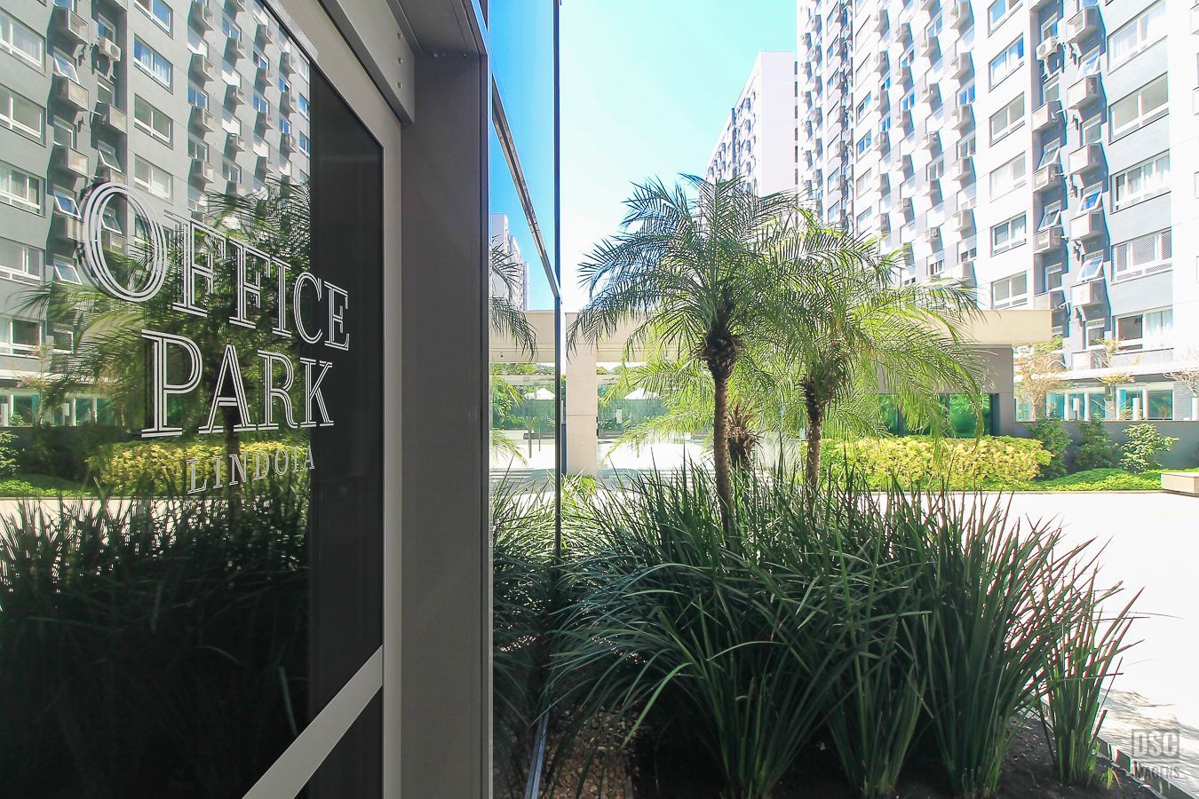 Apartamento à venda com 3 quartos, 81m² - Foto 29