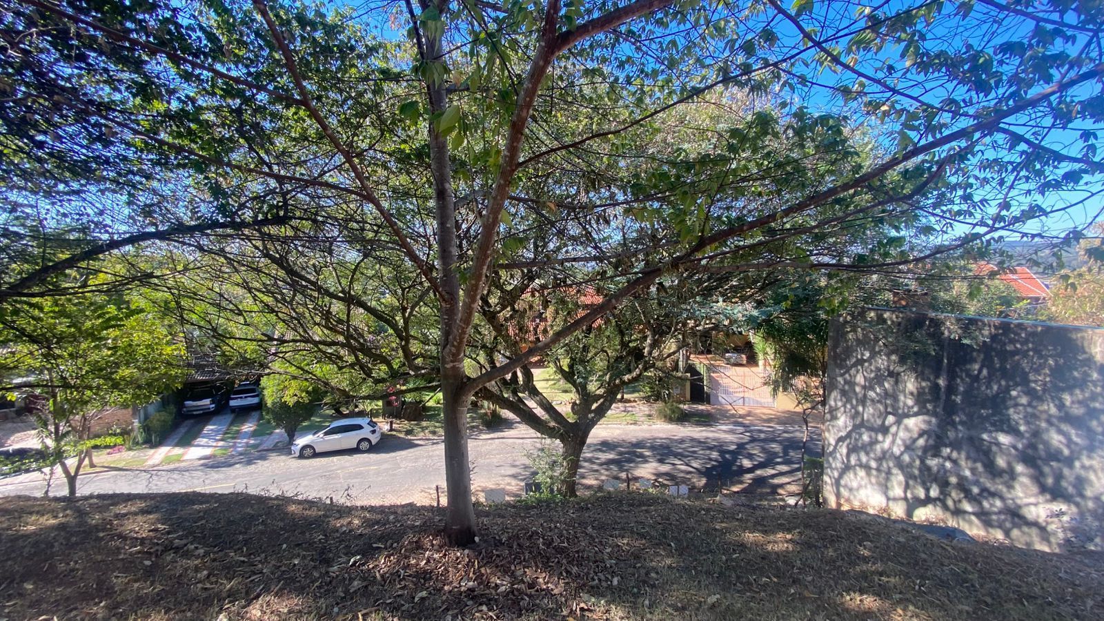 Terreno, 638 m² - Foto 4