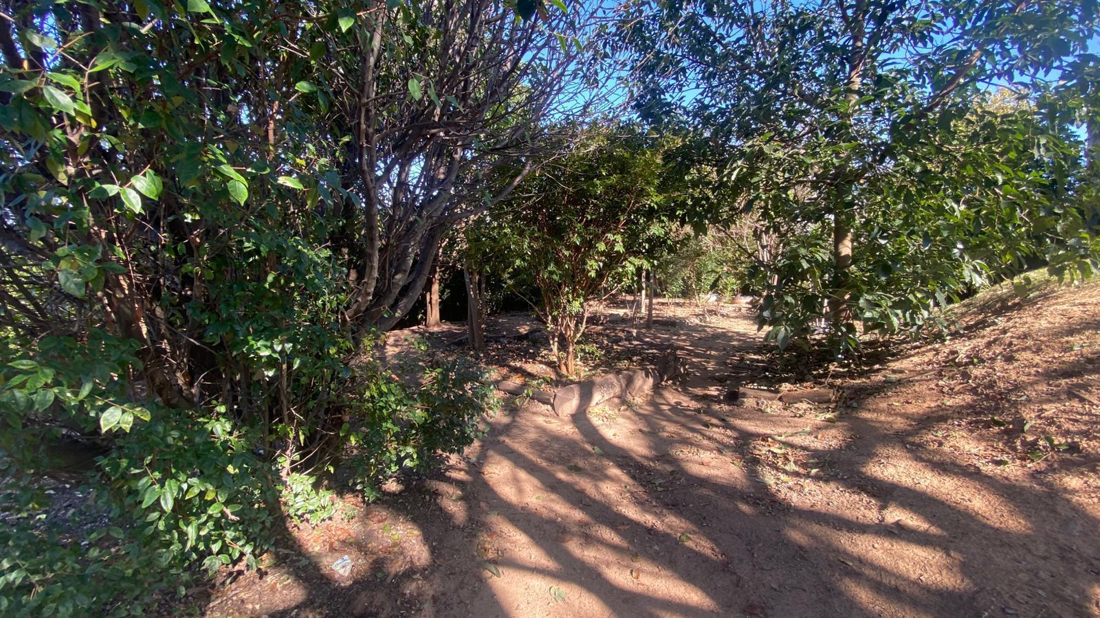 Terreno, 638 m² - Foto 7