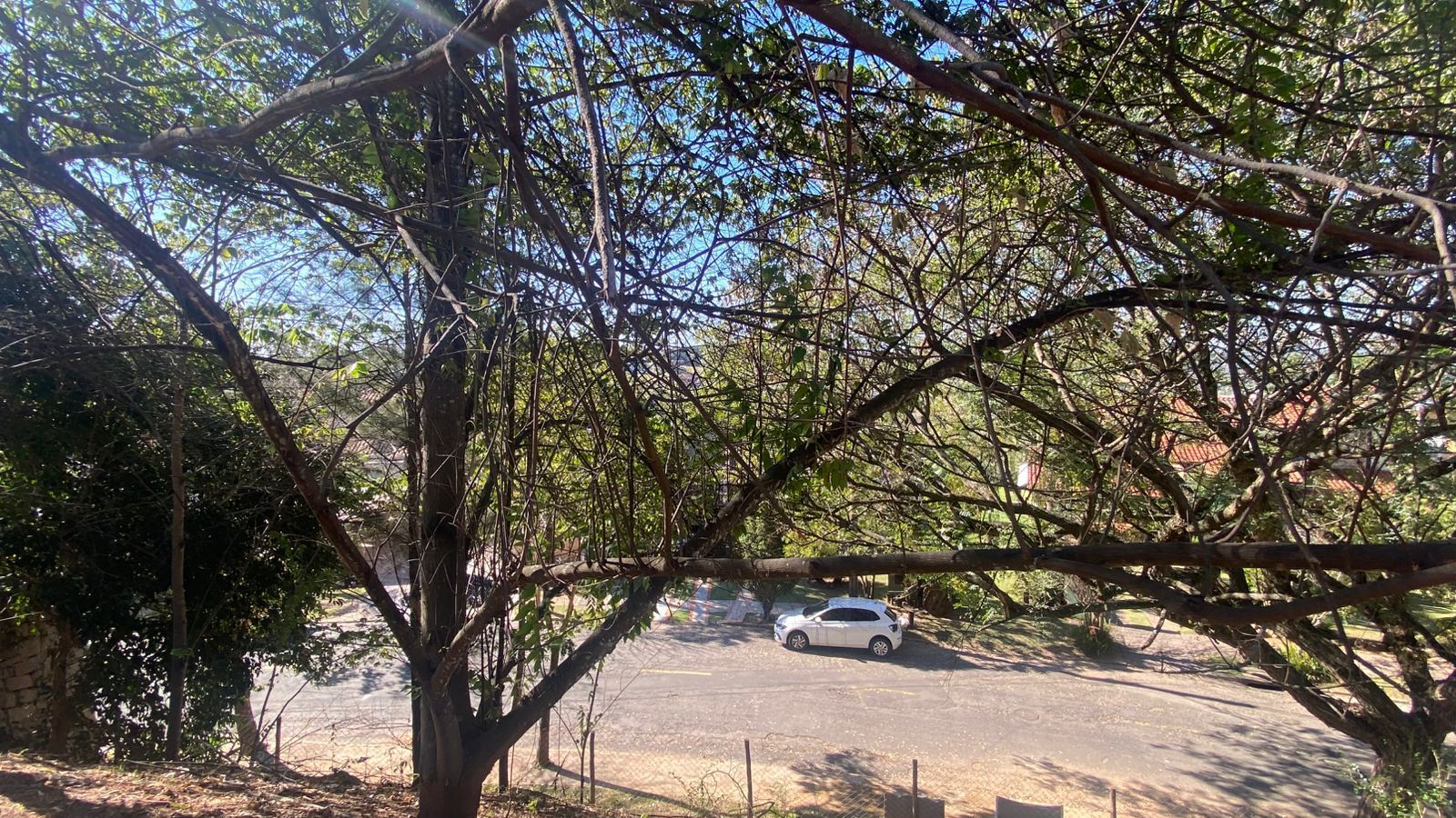 Terreno, 638 m² - Foto 11