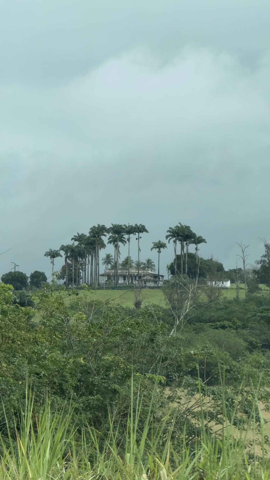 Chácara à venda, 77m² - Foto 56