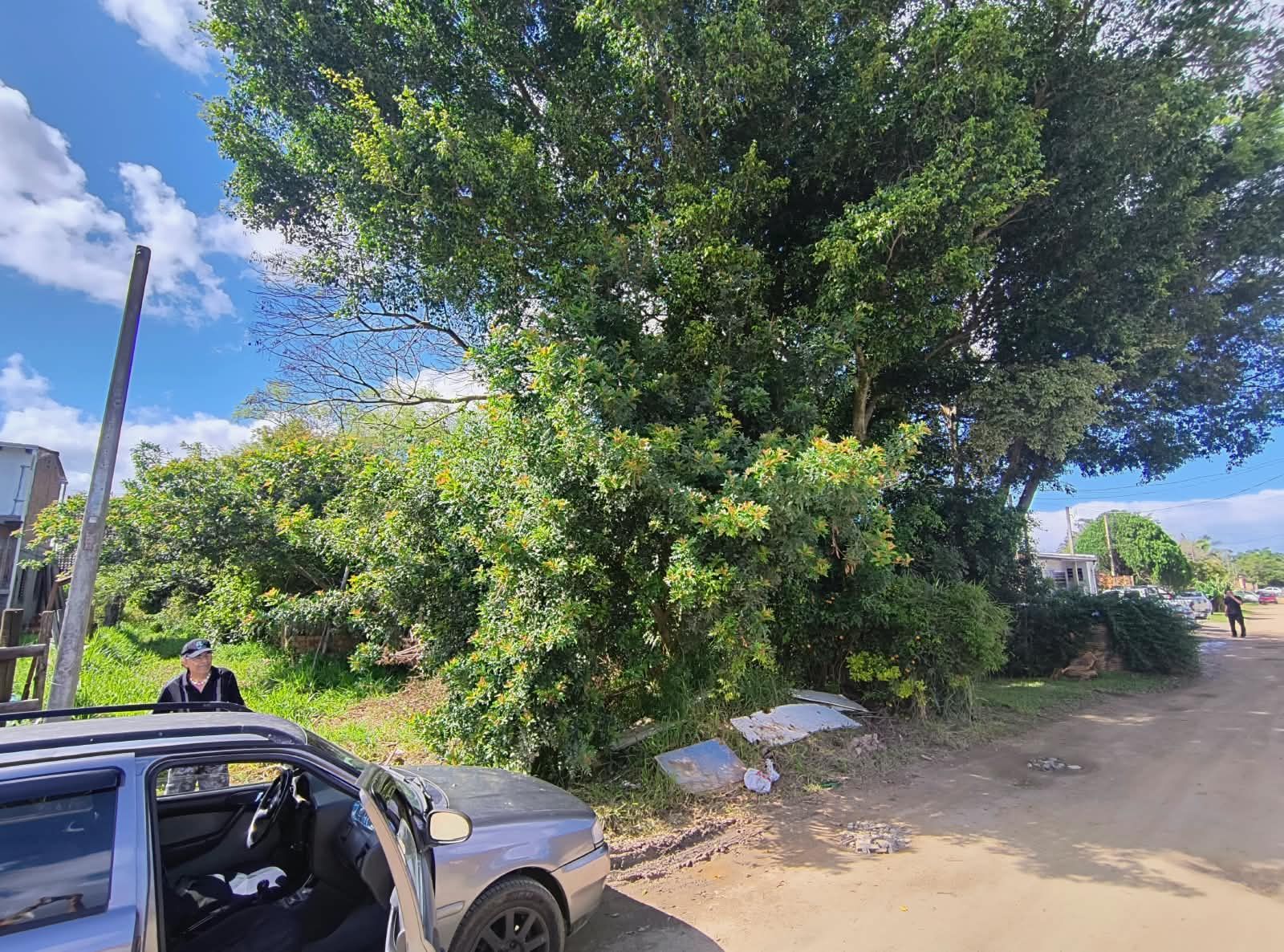 Terreno, à venda, Aberta dos Morros - Porto Alegre — foto 2