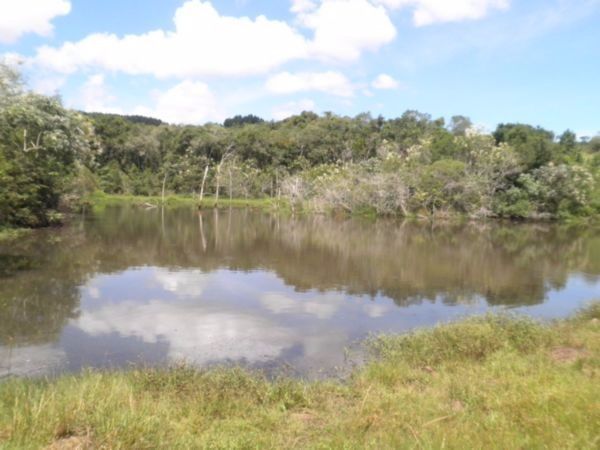 Terreno para Venda - 0m², 0 dormitórios, Lageado