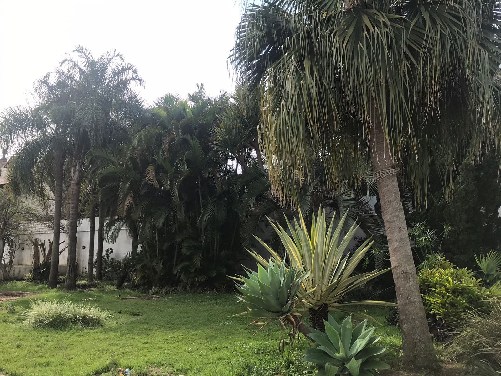 Terreno residencial, localizado no coração de Ipanema — foto 3