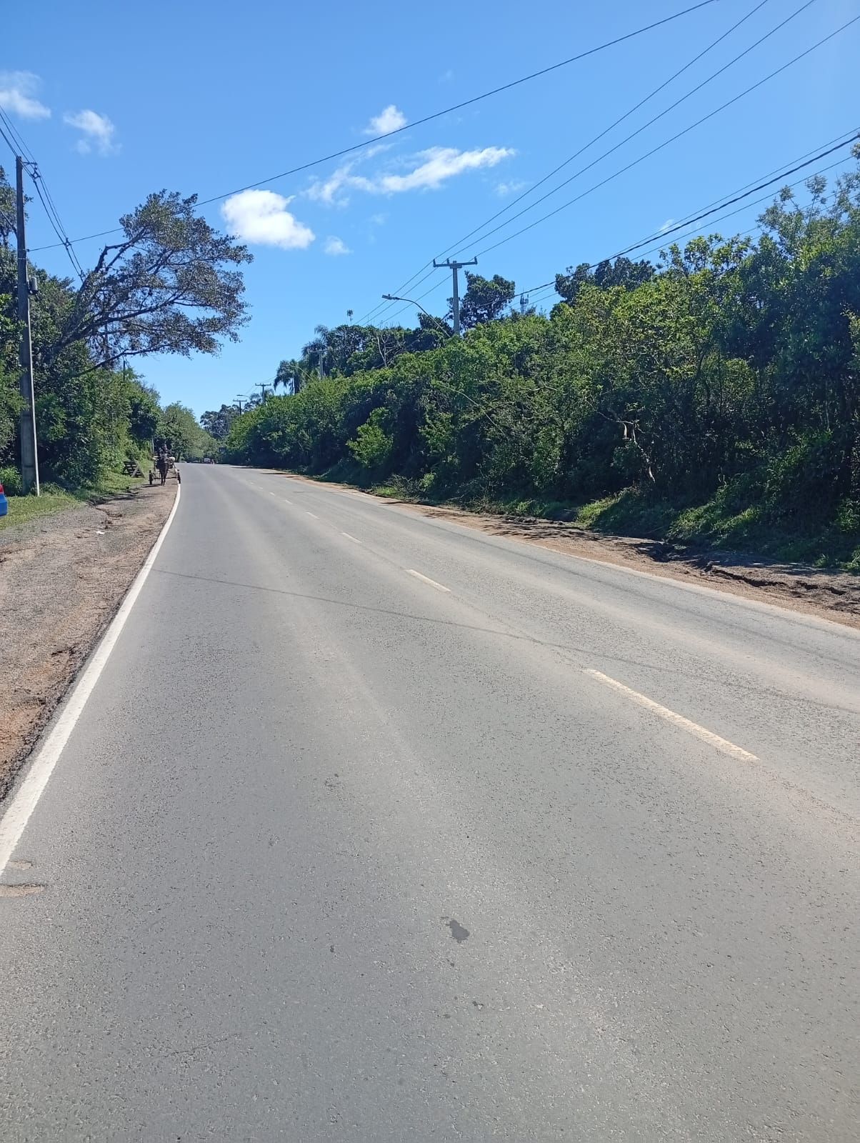 Terreno, à venda, Lageado - Porto Alegre — foto 5