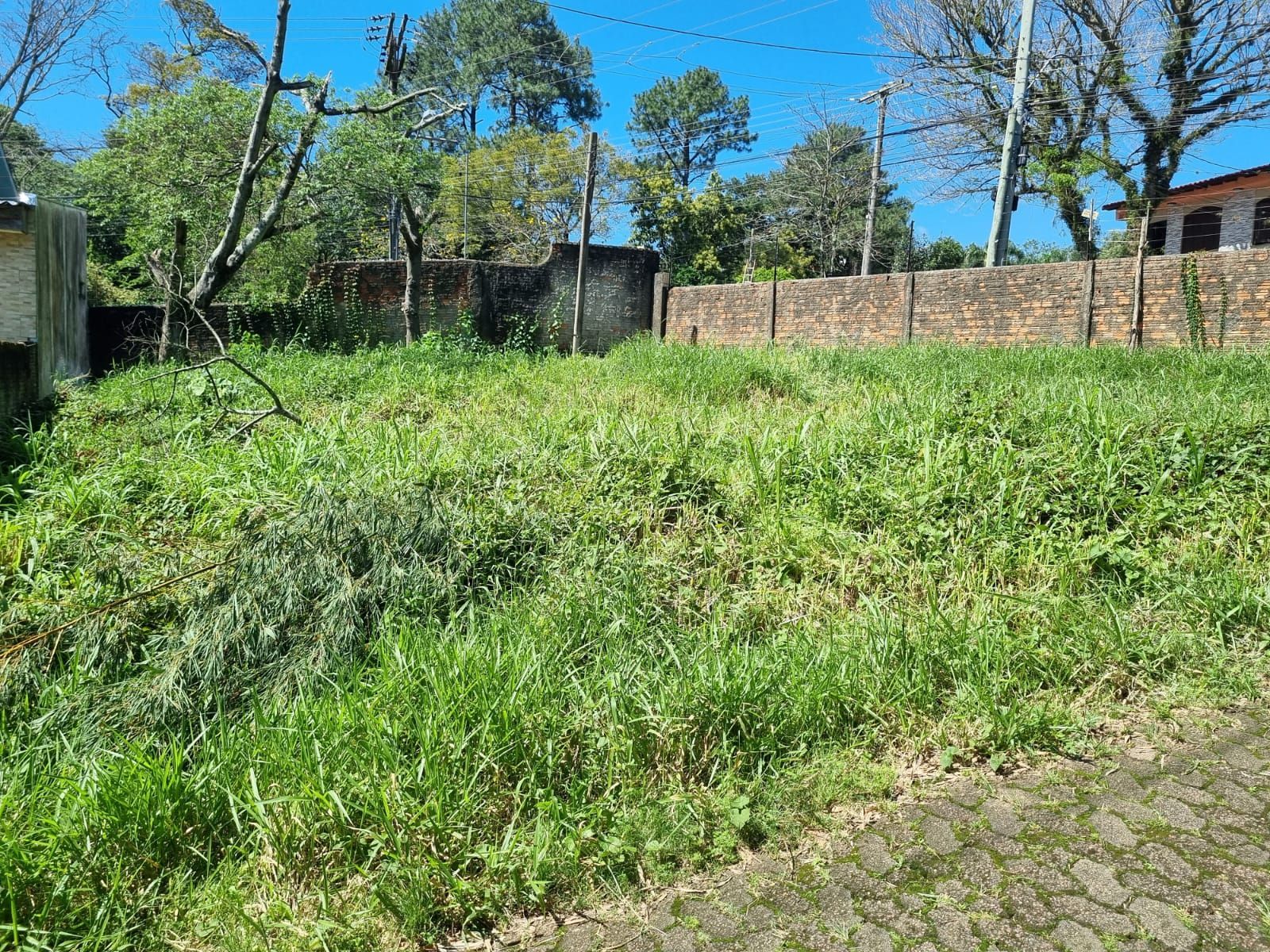 Terreno em Condomínio no bairro Vila Nova — foto 4