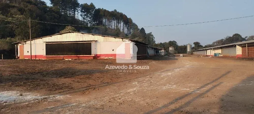 À VENDA GRANJA COM 4 AVIÁRIOS INTEGRADOS A BRF EM FLOR DA SERRA DO SUL