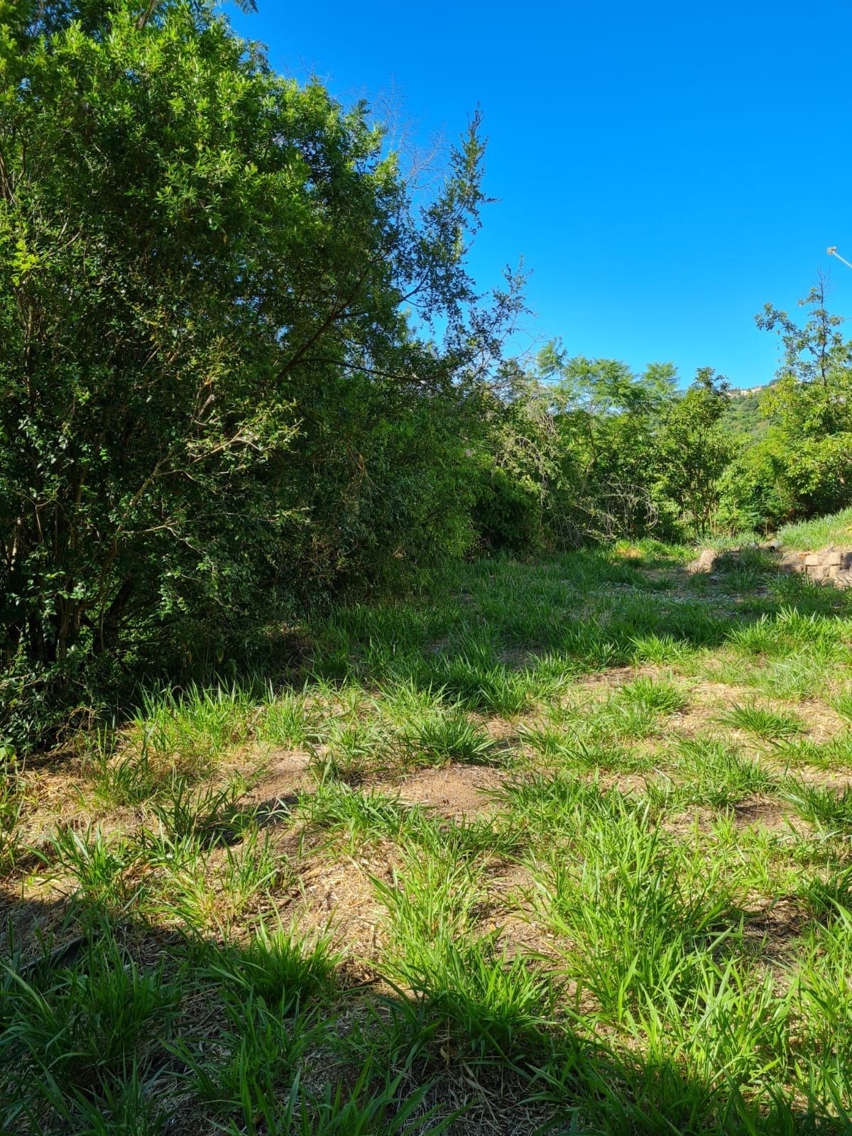 Terreno Comercial, à venda, Vila Nova - Porto Alegre — foto 3