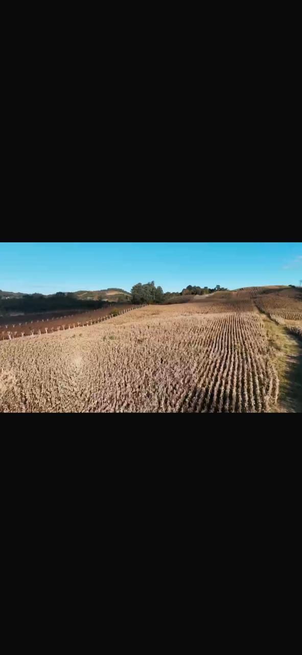 Terreno, à venda, Área Rural - Bento Gonçalves — foto 5