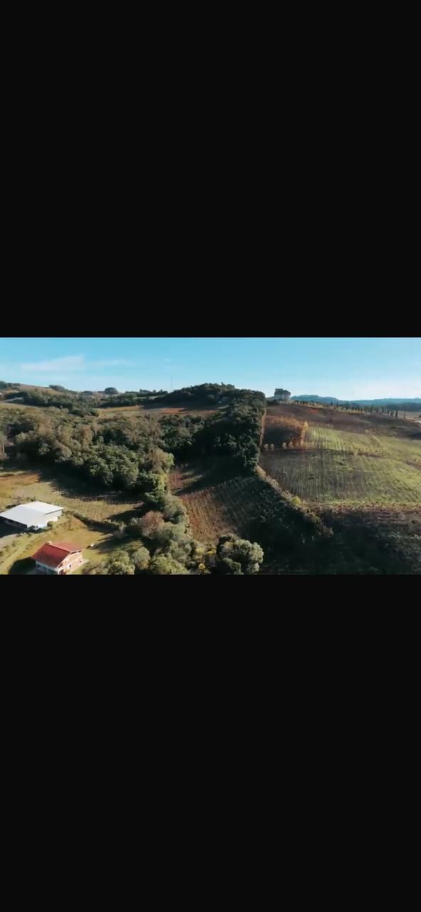 Terreno, à venda, Área Rural - Bento Gonçalves — foto 3
