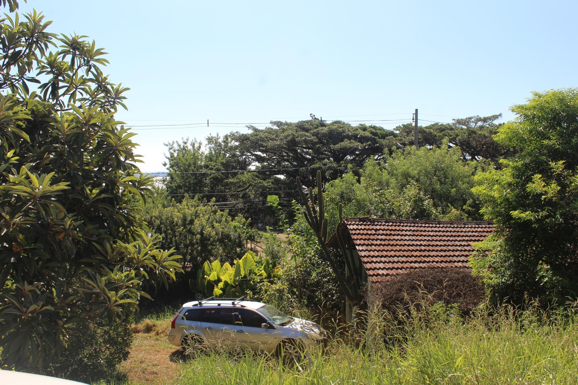 Casa, 4 quartos, 506 m² - Foto 16