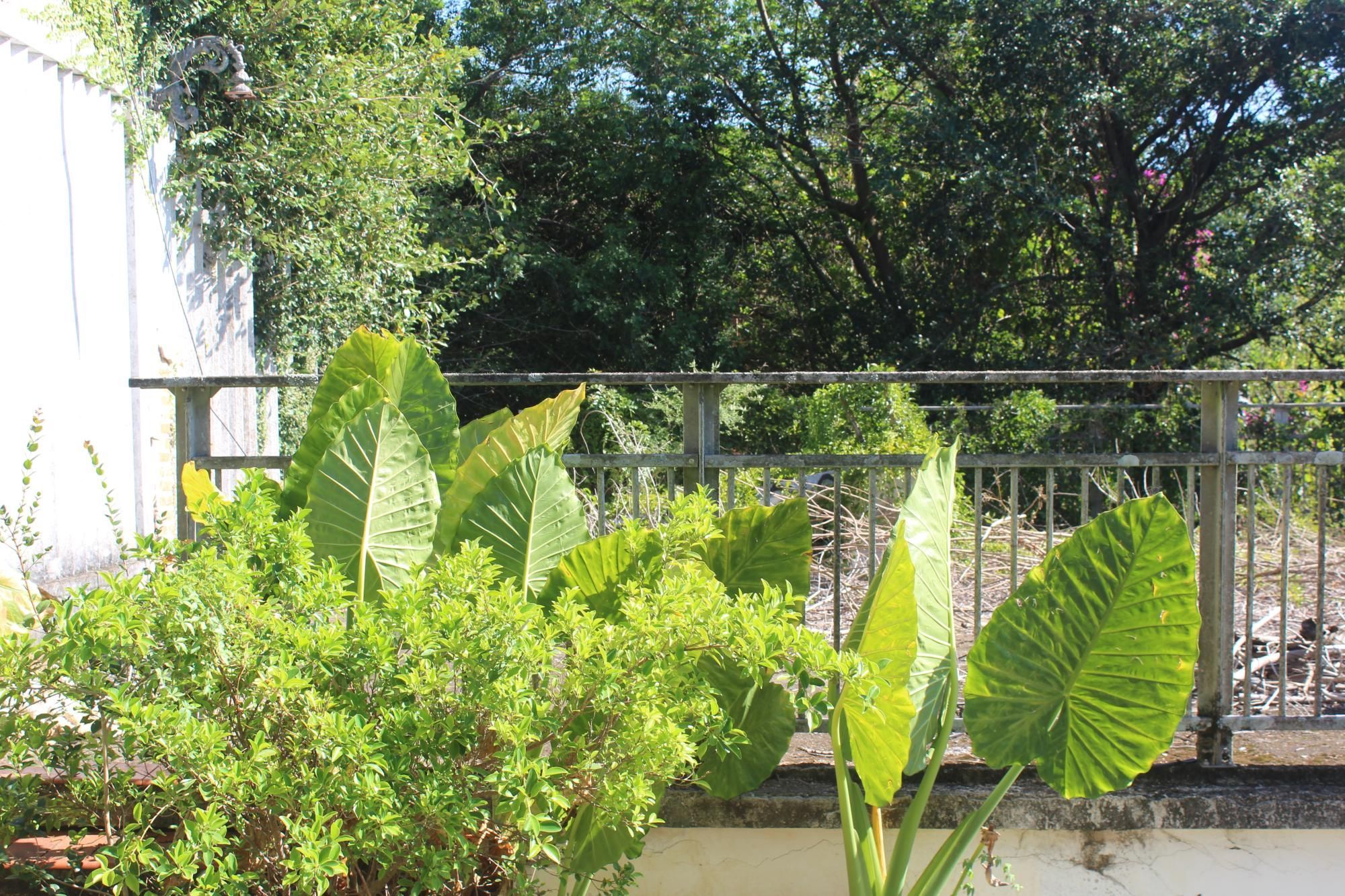 Casa, 4 quartos, 506 m² - Foto 8