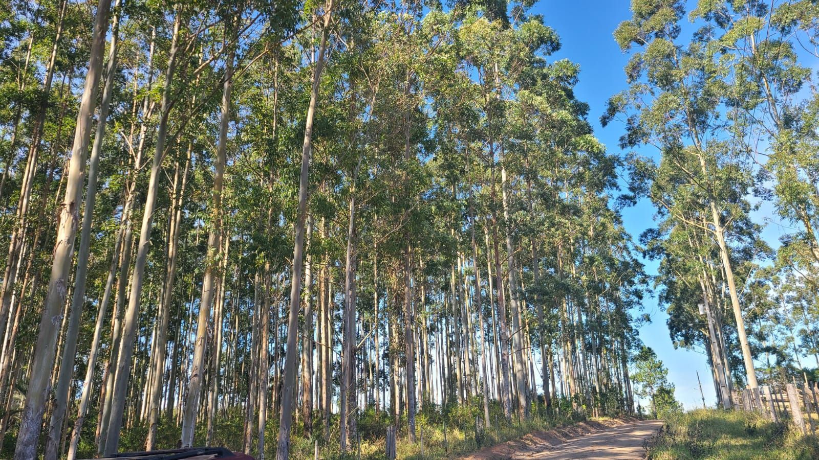 Terreno com 0m² no bairro Centro em Viamão para Comprar
