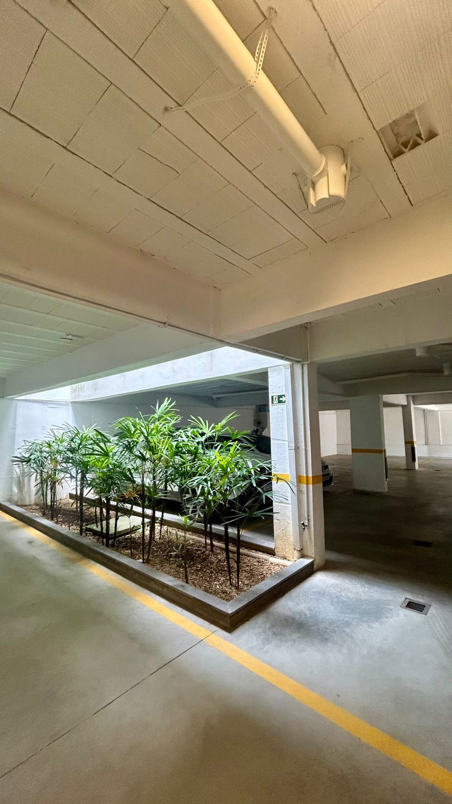 Apartamento, 3 quartos - Foto 19