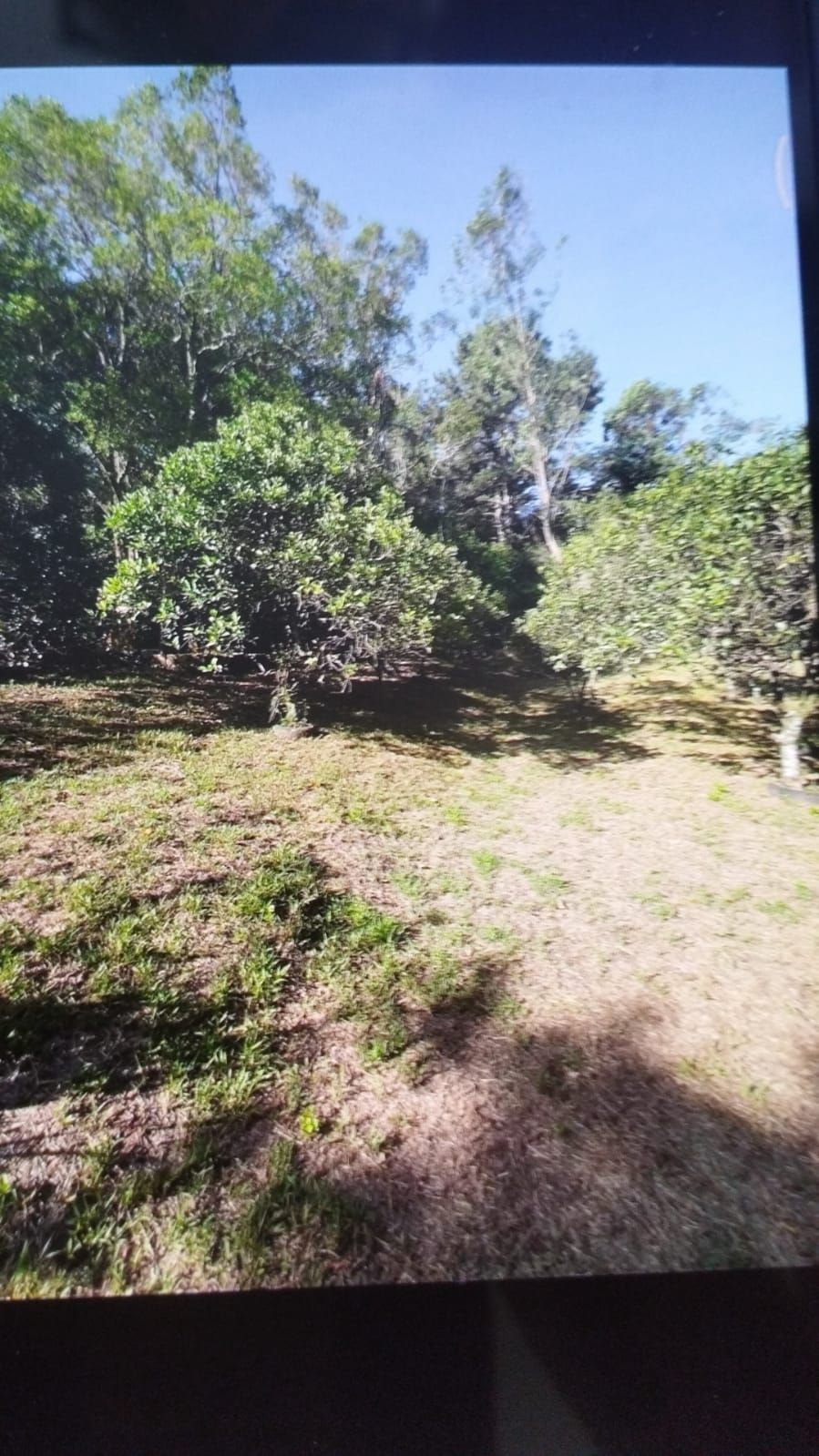 Sítio à venda com 3 quartos, 16999m² - Foto 21