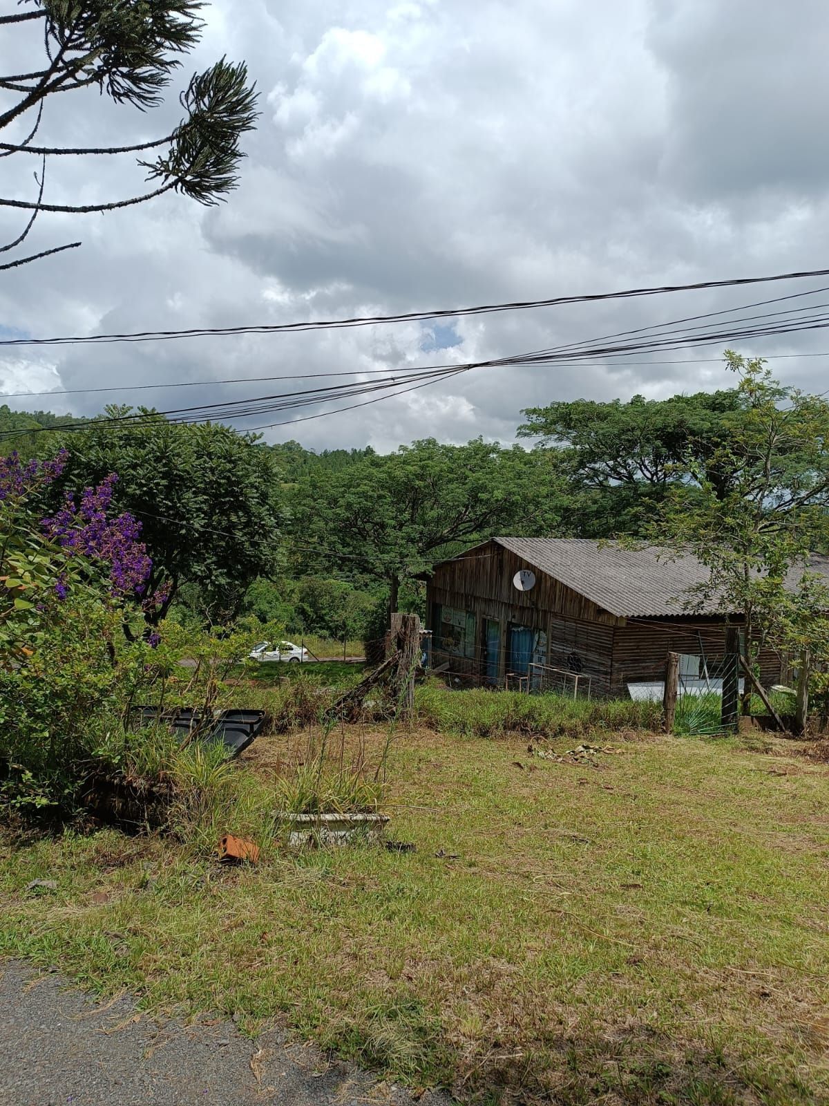 Sítio à venda com 3 quartos, 16999m² - Foto 14