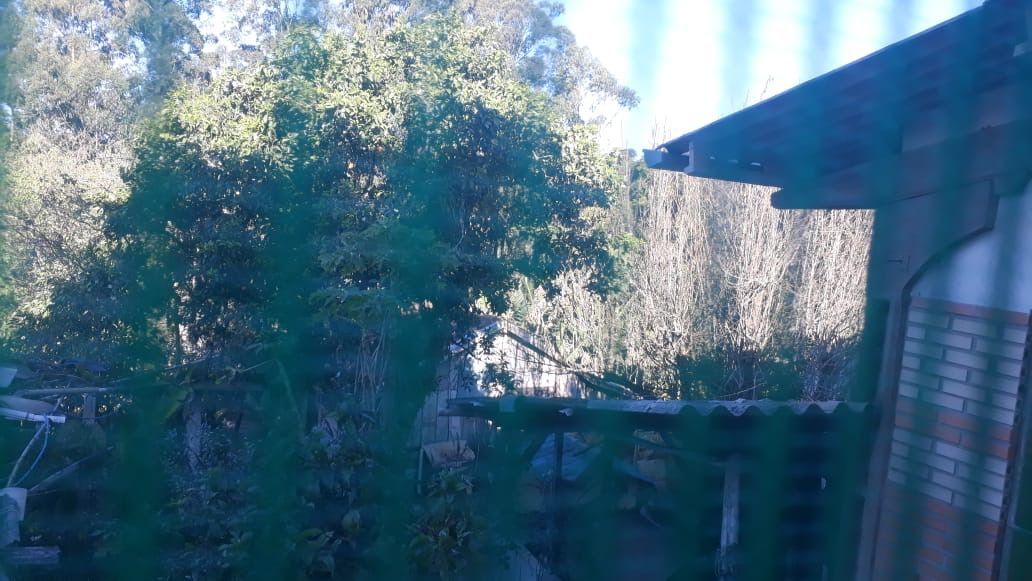Sítio à venda com 3 quartos, 230m² - Foto 23