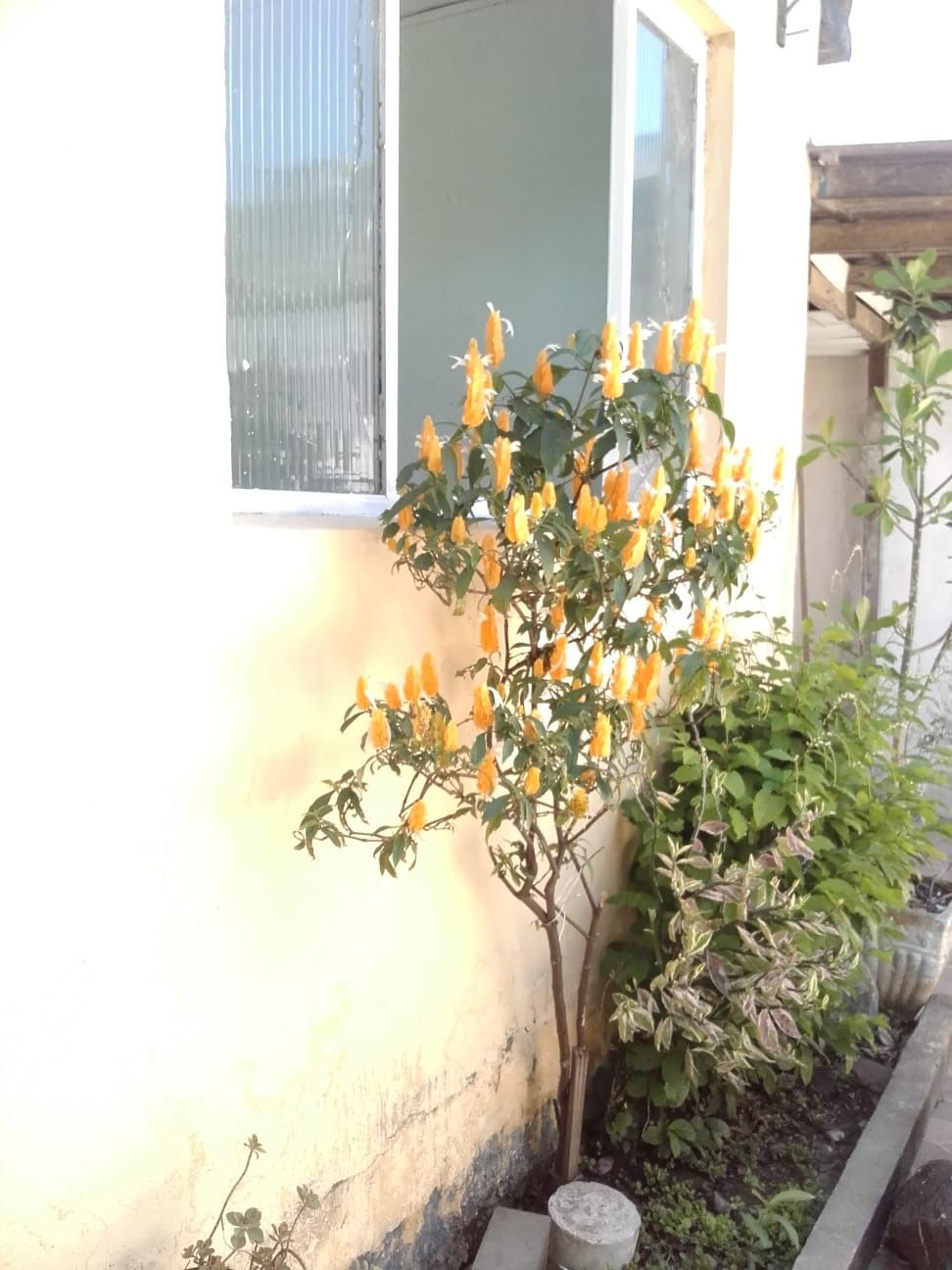 Casa à venda com 2 quartos, 121m² - Foto 7