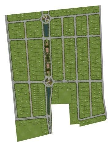 Plantas