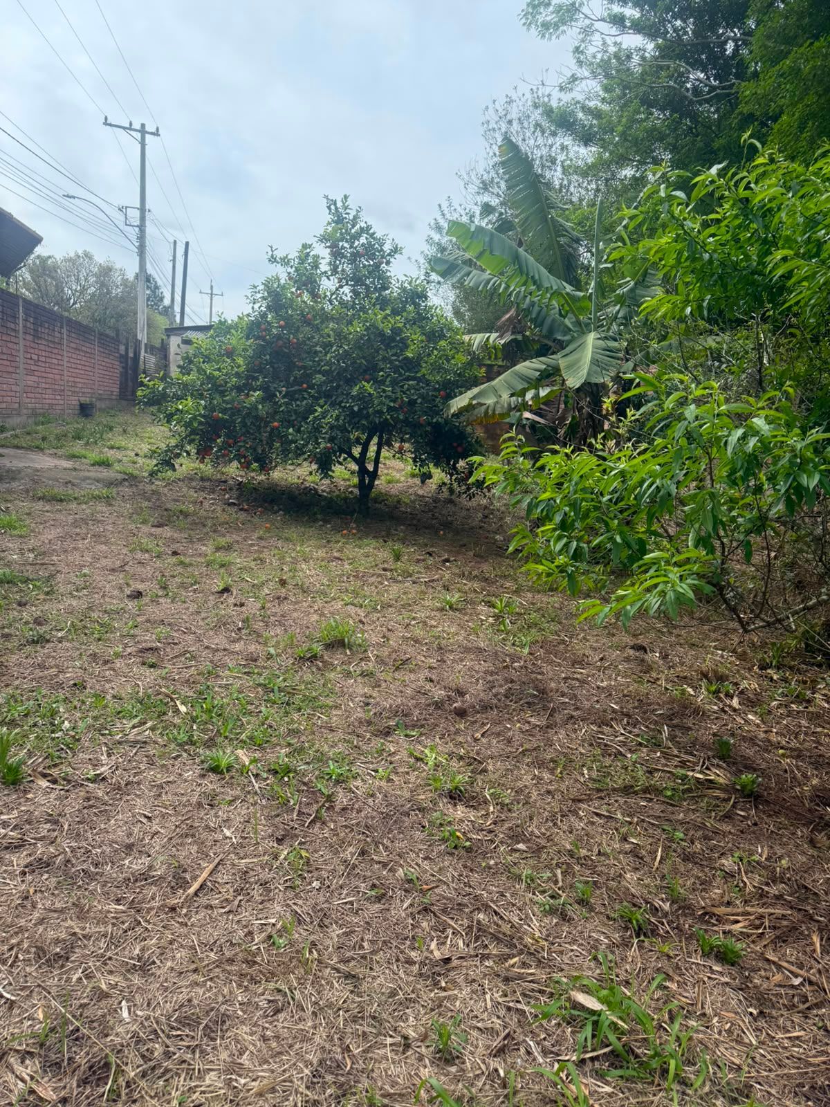 Terreno, à venda, Ipiranga I (ipiranga) - Gravataí — foto 5