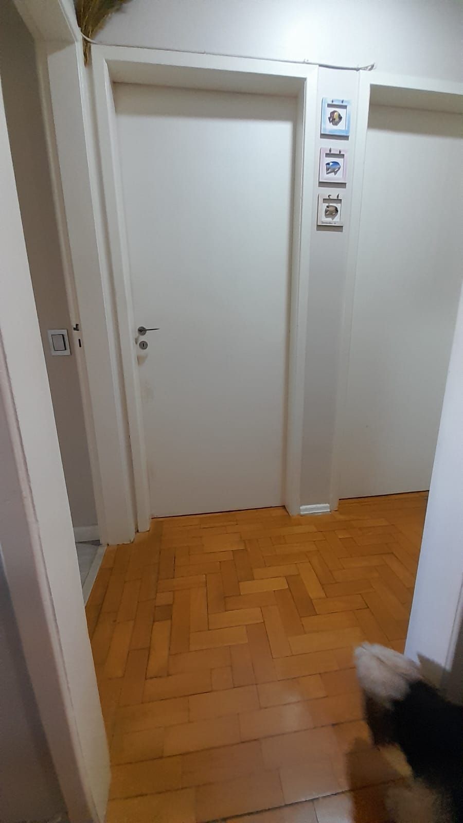 Apartamento à venda com 3 quartos, 94m² - Foto 21
