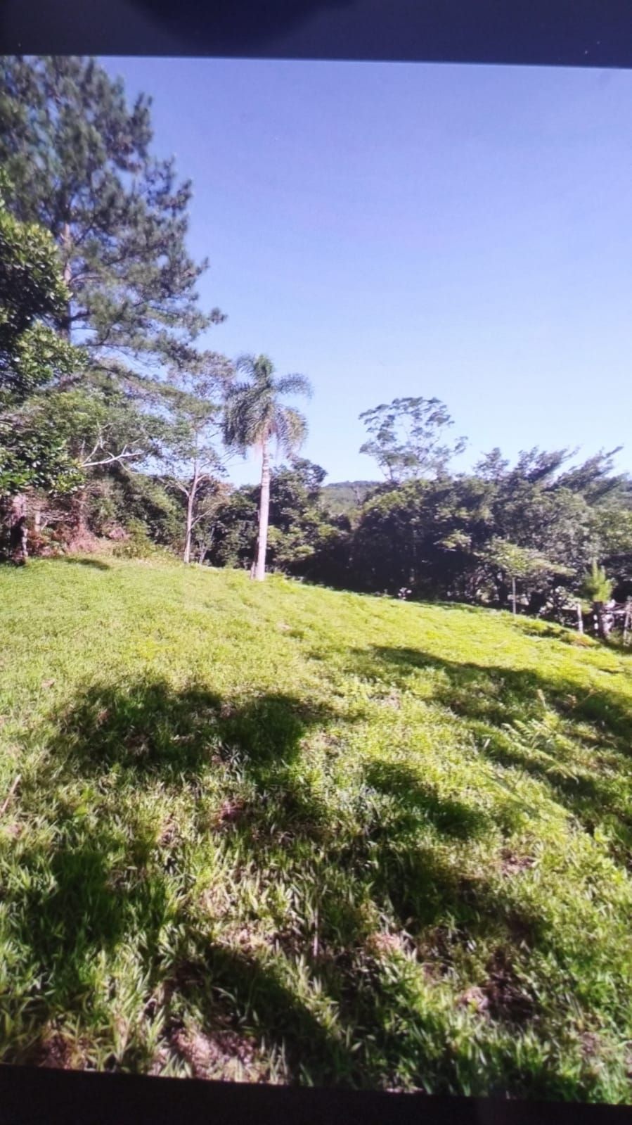 Sítio à venda com 3 quartos, 16999m² - Foto 24