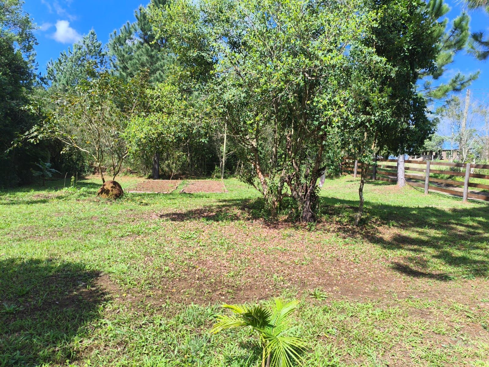 Terreno, à venda, Ipiranga Vi (ipiranga) - Gravataí — foto 2