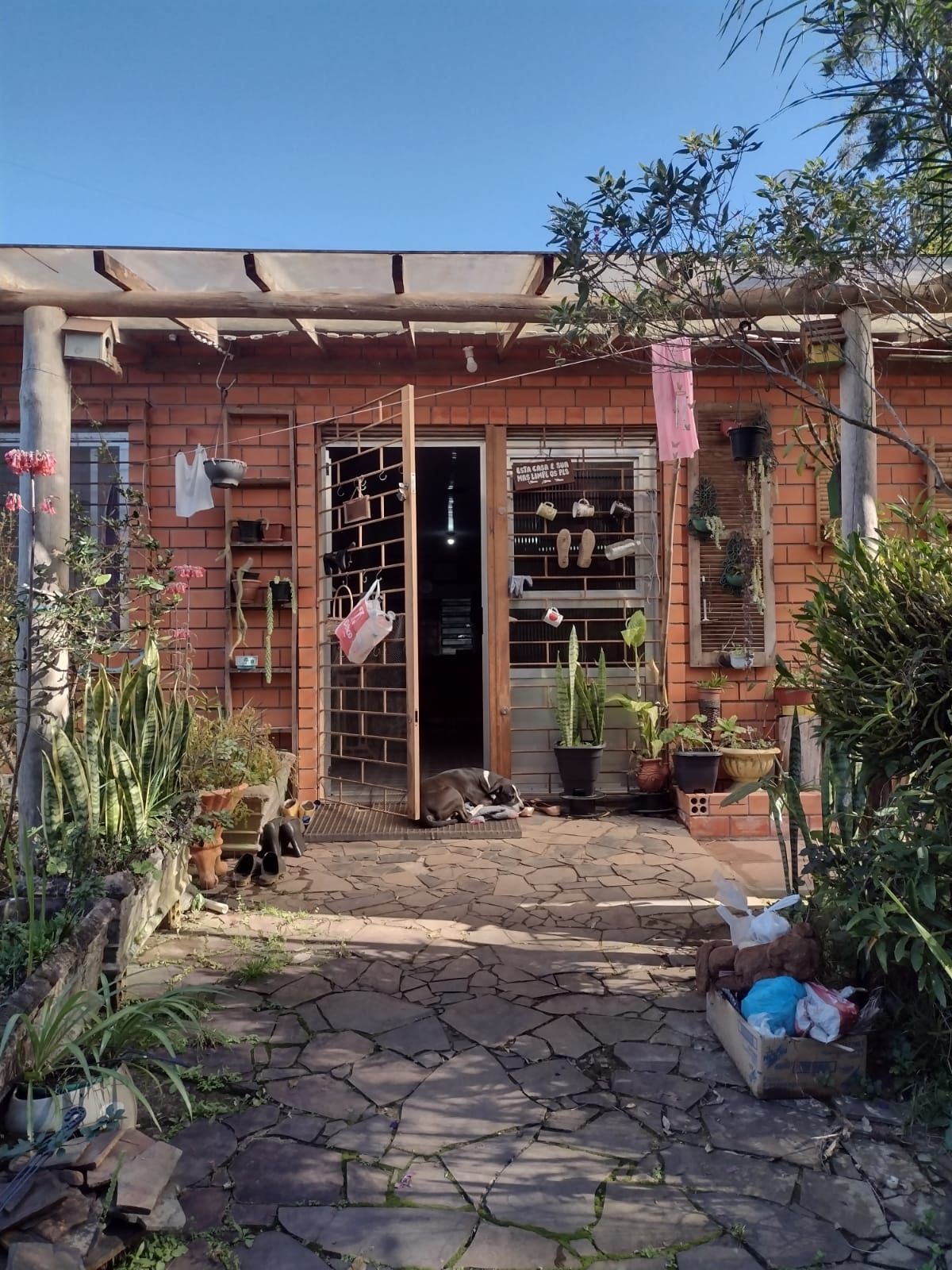 Sítio à venda com 3 quartos, 16999m² - Foto 9