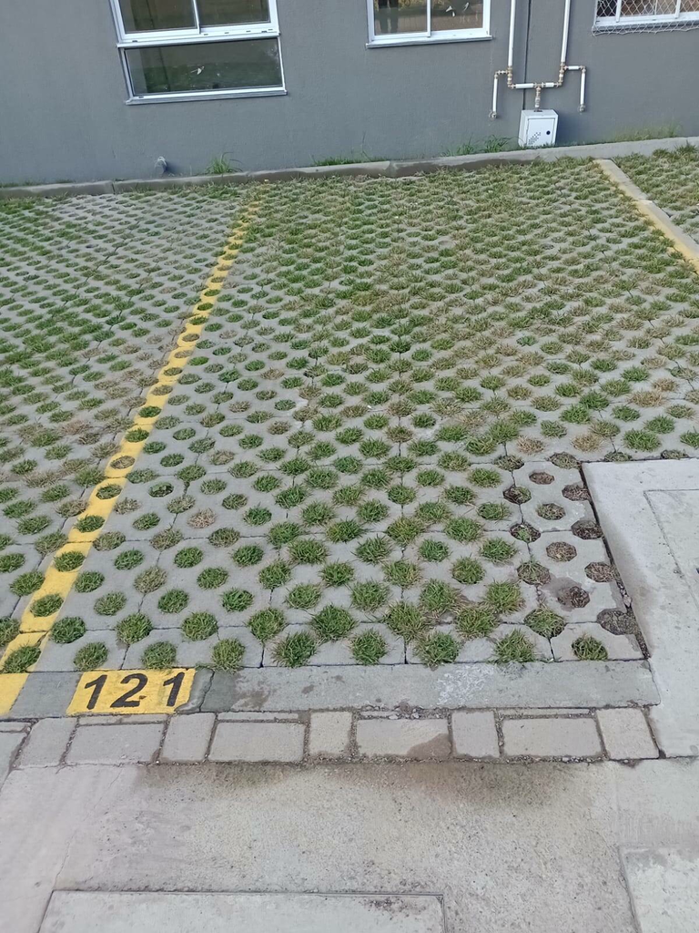 2562689.jpeg
