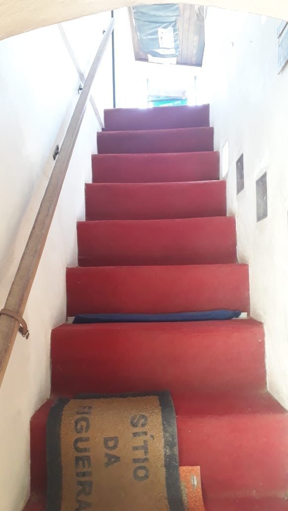 Sítio à venda com 3 quartos, 230m² - Foto 14