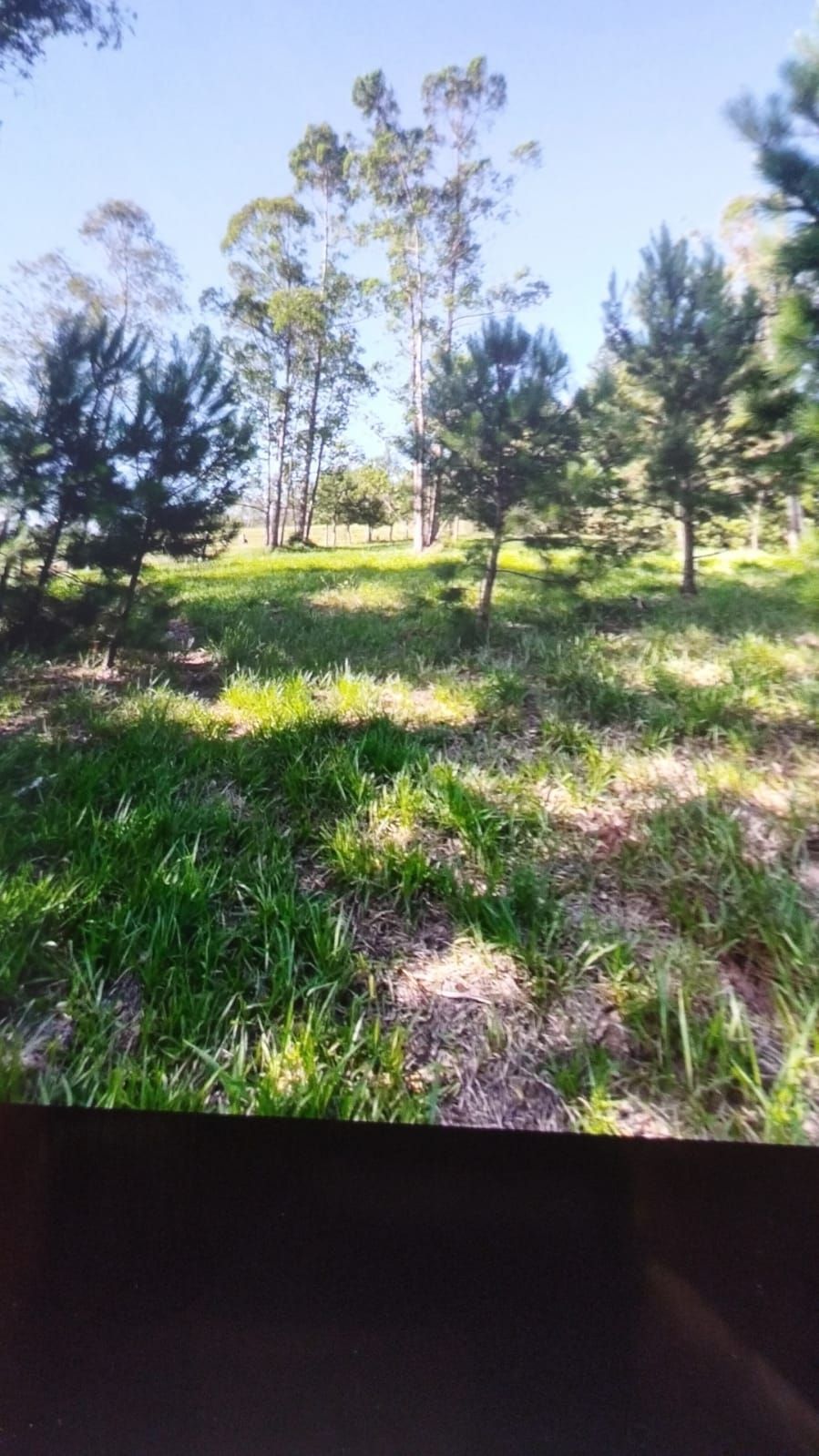 Sítio à venda com 3 quartos, 16999m² - Foto 23