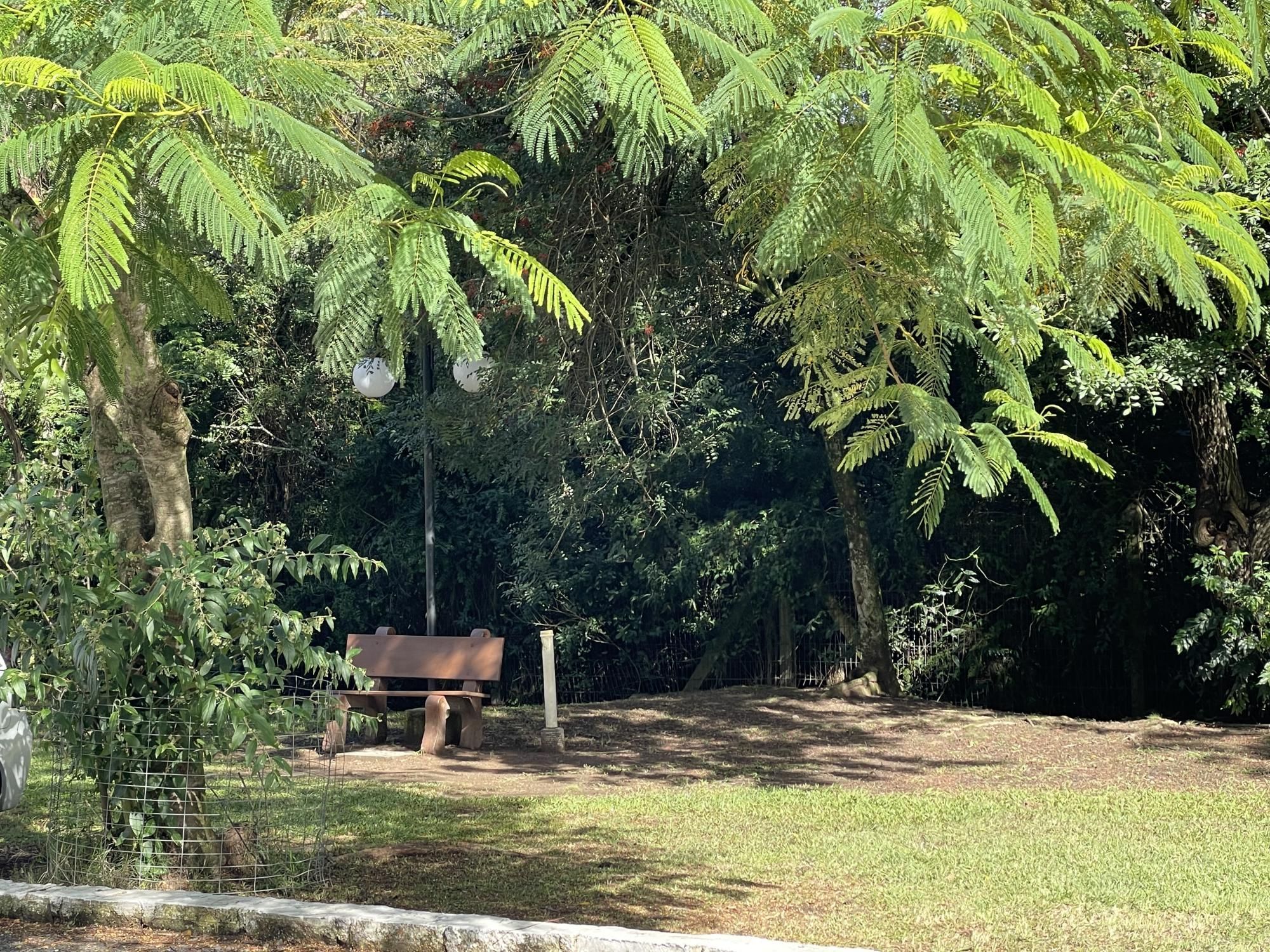 Apartamento, 2 quartos, 40 m² - Foto 12