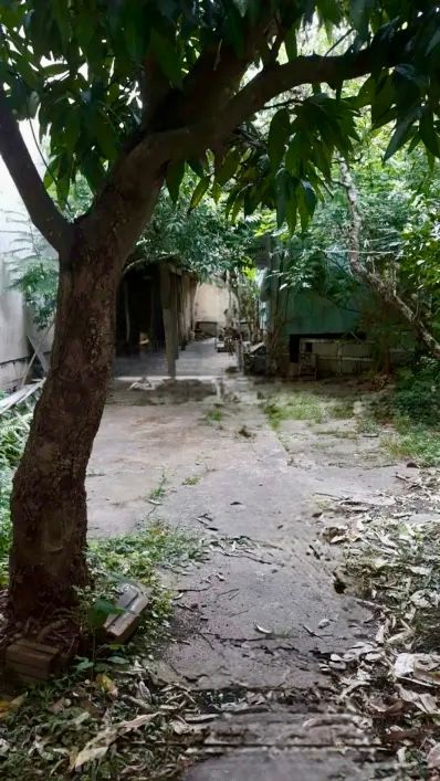 Terreno, 3 quartos, à venda, Jardim Botânico - Porto Alegre — foto 3