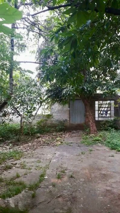 Terreno, 3 quartos, à venda, Jardim Botânico - Porto Alegre — foto 5