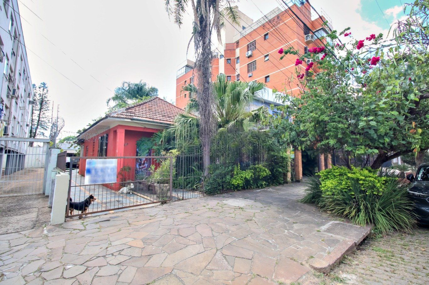 Terreno 600m² no São João com Potencial Construtivo