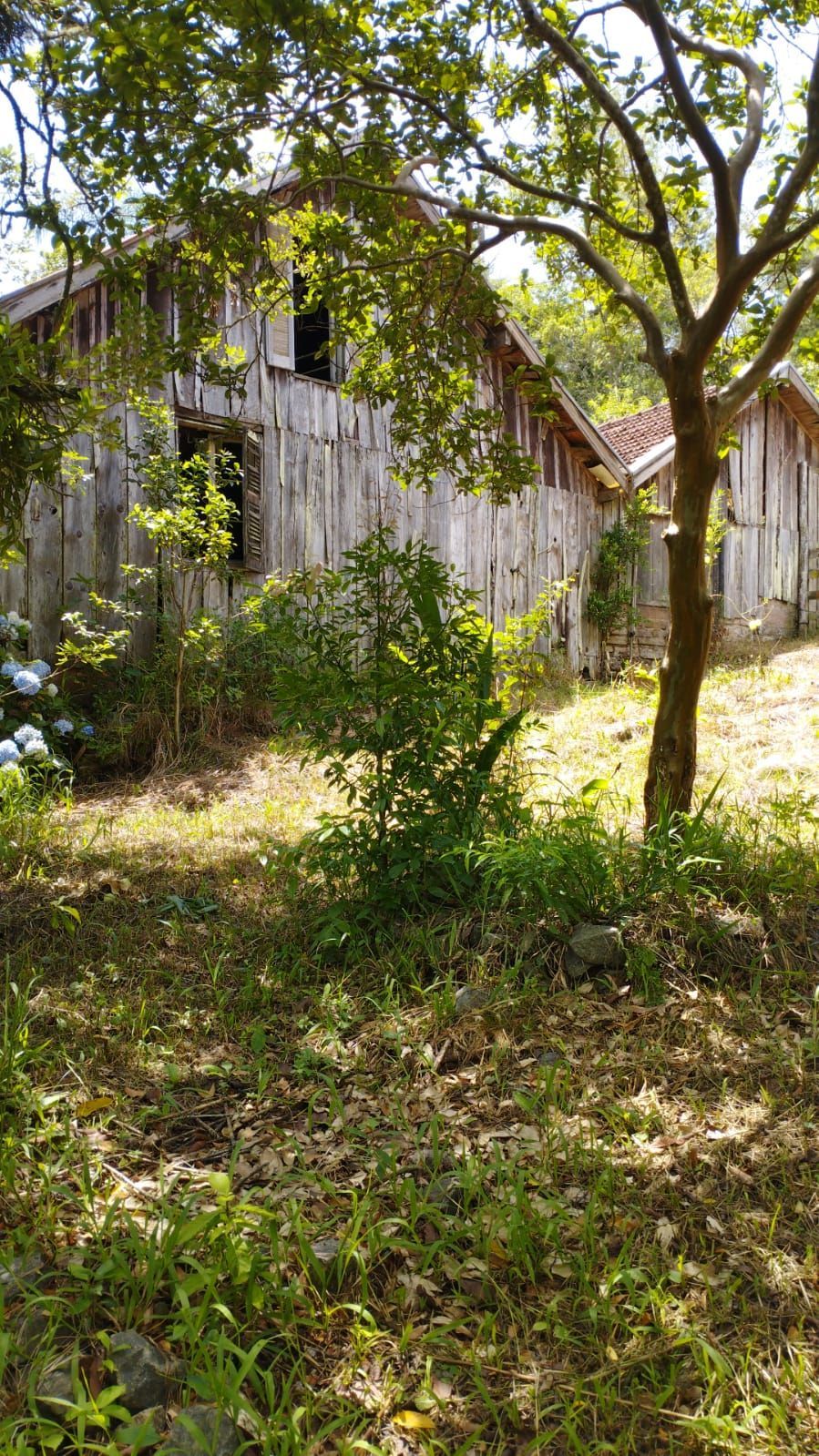Sítio à venda com 3 quartos, 16999m² - Foto 15
