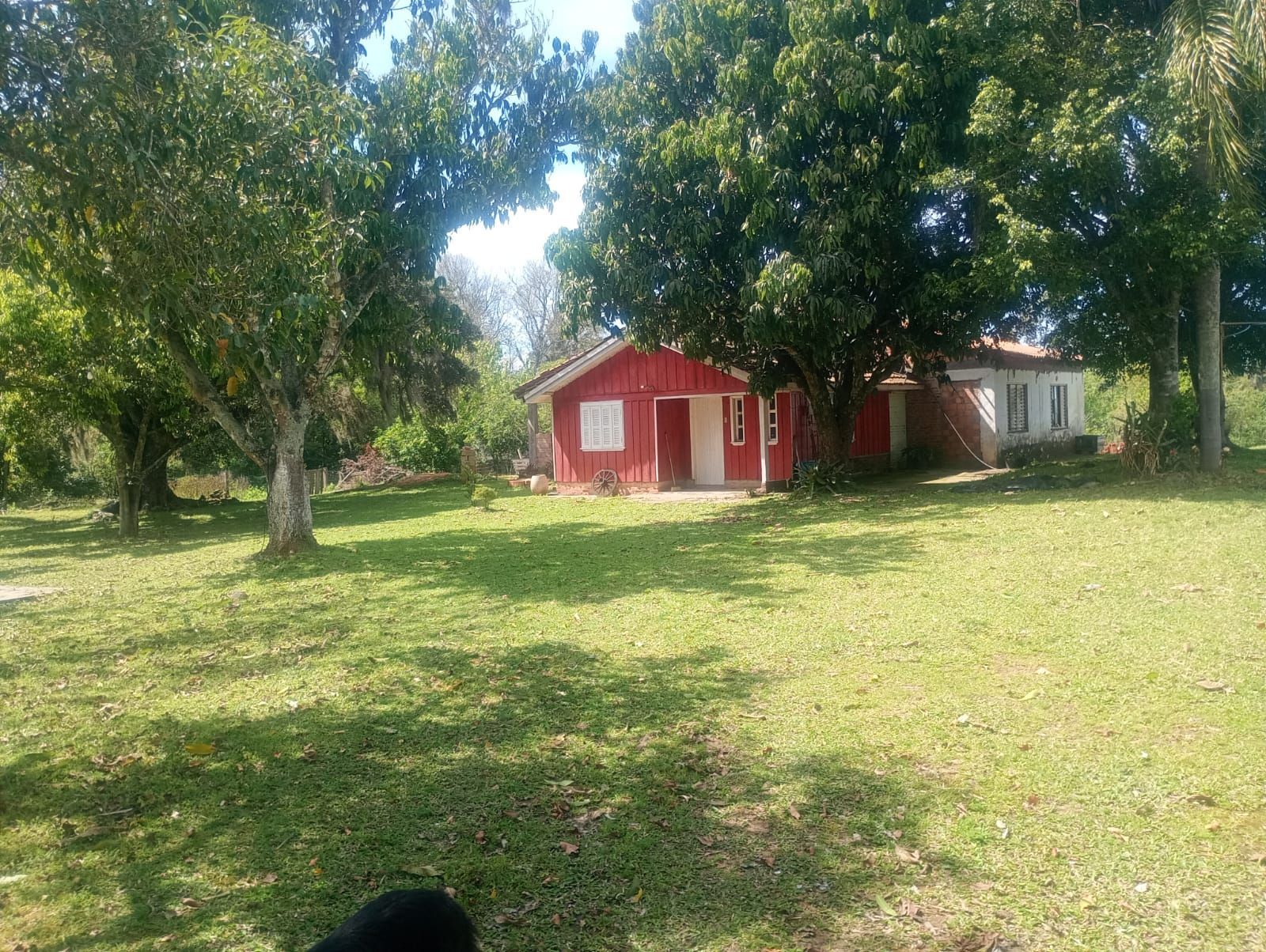 Sítio com Casa com piscina 2 Açudes em Glorinha RS