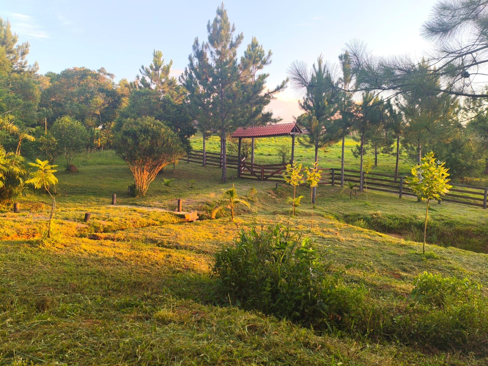 Terreno, à venda, Ipiranga Vi (ipiranga) - Gravataí — foto 5