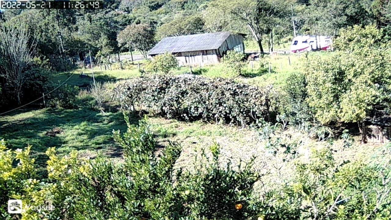 Sítio à venda com 3 quartos, 16999m² - Foto 19