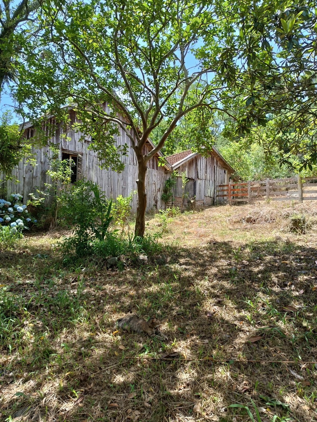 Sítio à venda com 3 quartos, 16999m² - Foto 16