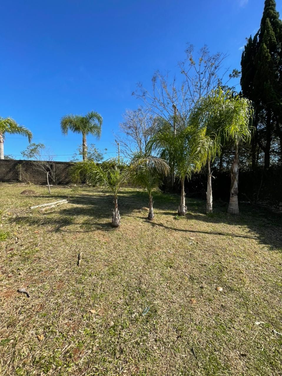 Terreno, 1608 m² - Foto 2