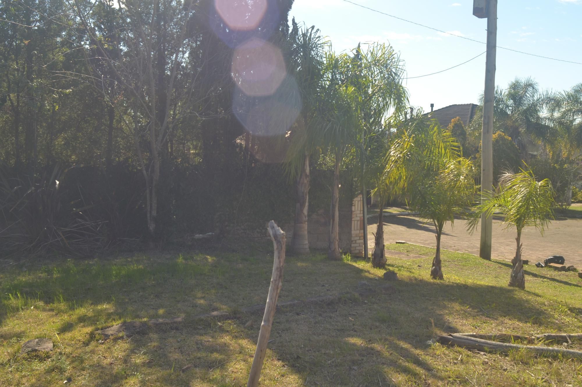 Terreno, 1608 m² - Foto 9