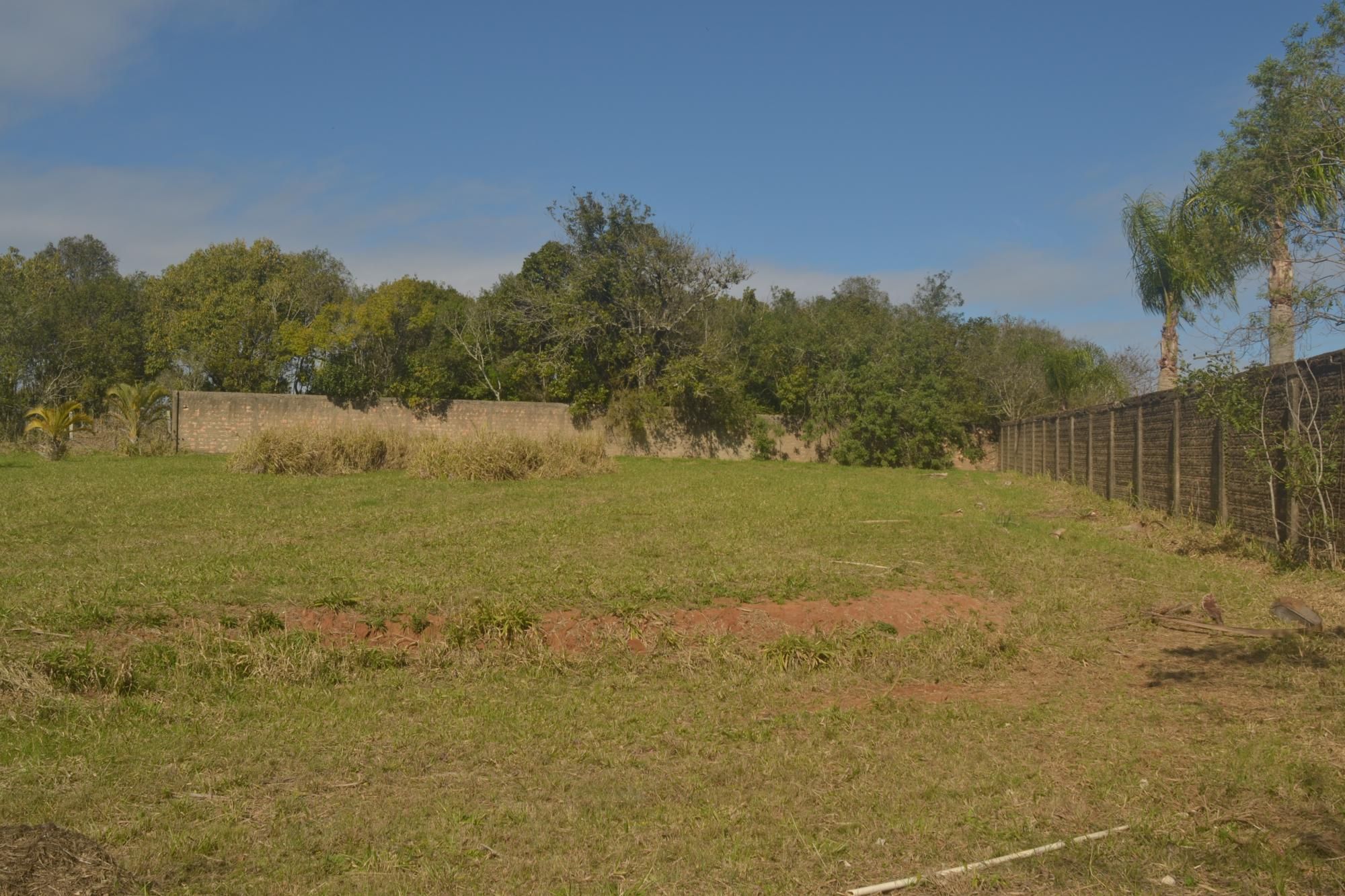 Terreno, 1608 m² - Foto 4