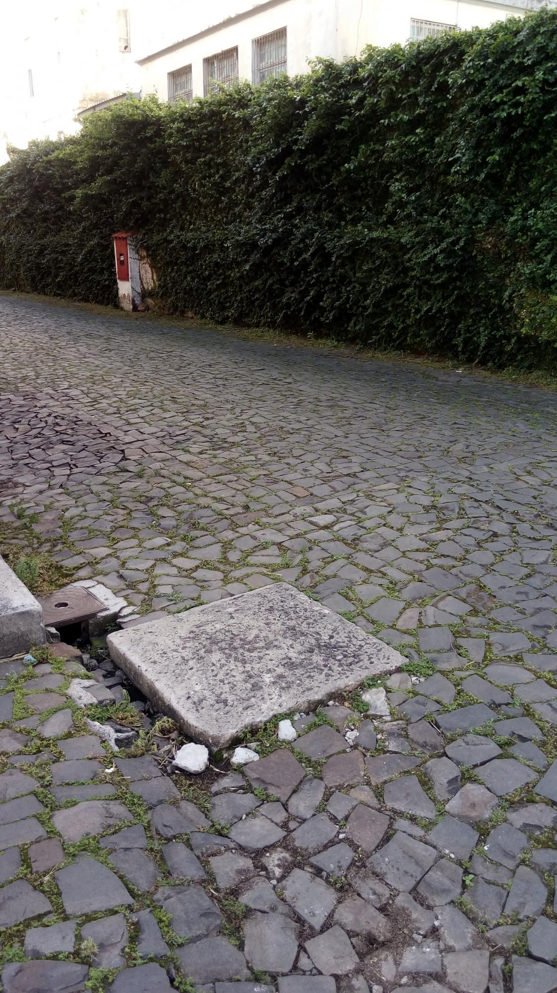 Apartamento, 3 quartos, 106 m² - Foto 14