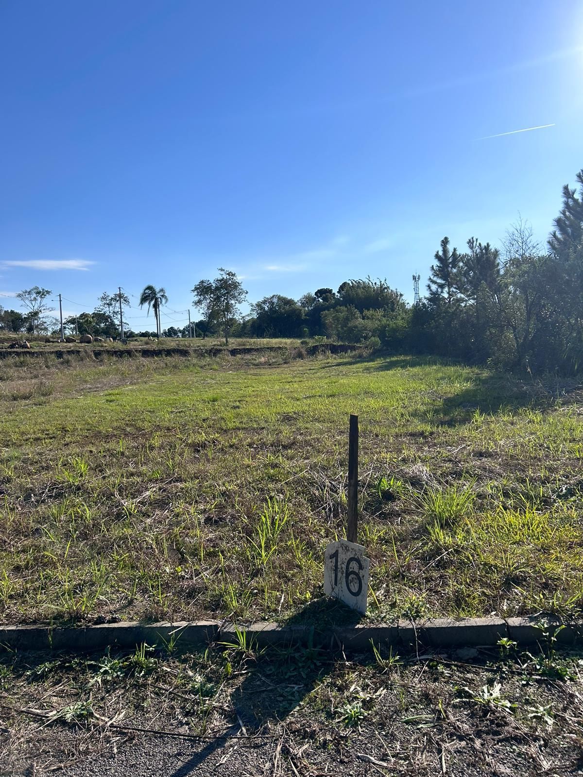 Terreno, 397 m² - Foto 3