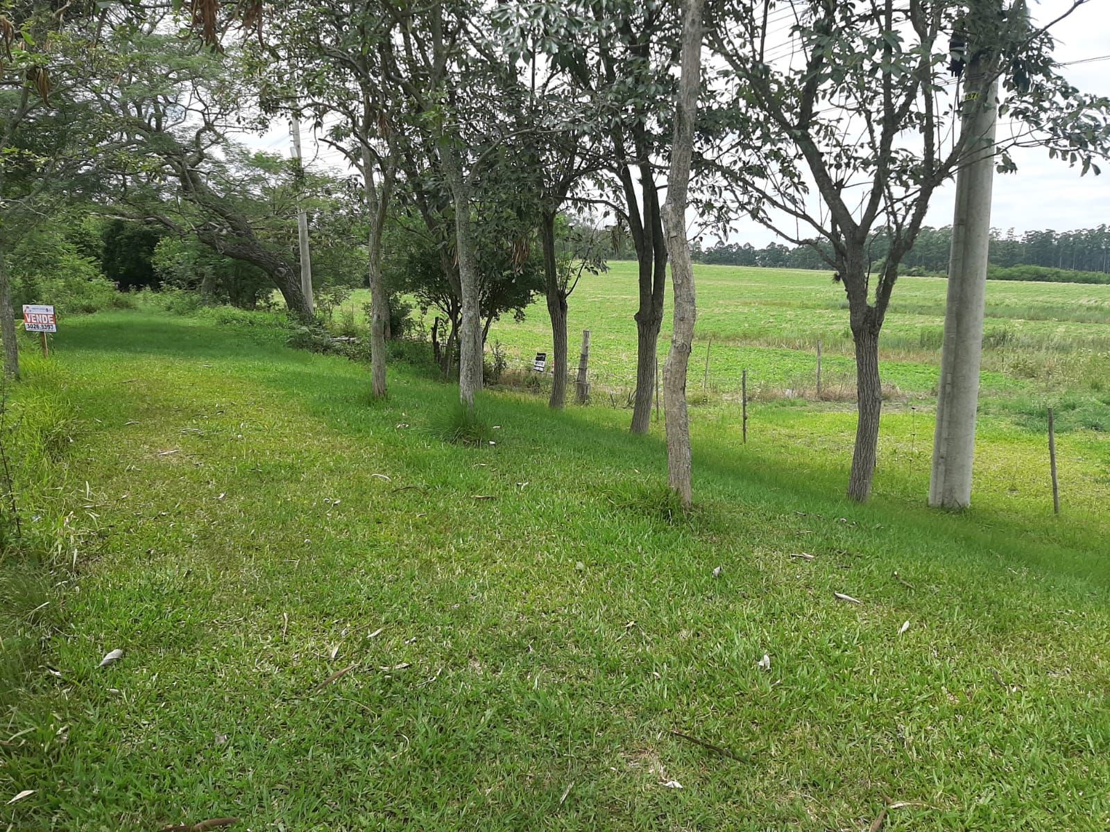 Loteamento e Condomínio, 2 hectares - Foto 1