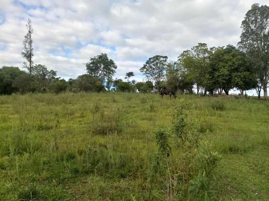 Terreno, 5000 m² - Foto 1