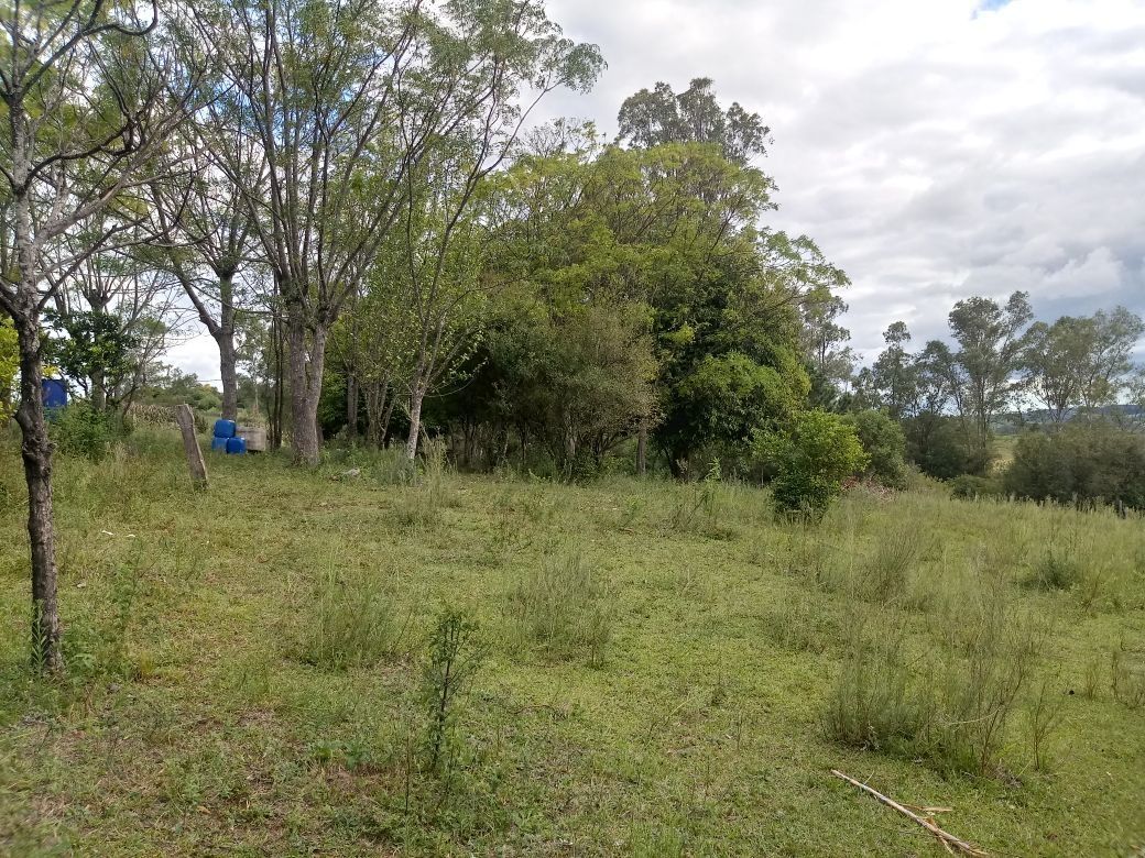 Terreno, 5000 m² - Foto 2